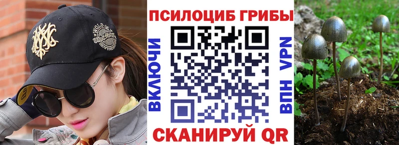 Купить  Нефтекумск  Галлюциногенные грибы Magic Shrooms 